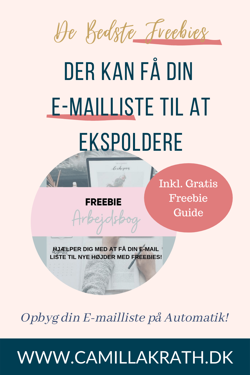 Read more about the article DE BEDSTE FREEBIES TIL AT FÅ DIN E-MAIL LISTE TIL AT EKSPLODERE!