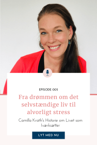 Read more about the article Fra drømmen om det selvstændige liv til alvorligt stress – Min Iværksætterrejse